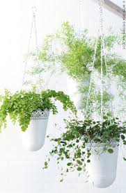 Skurar Plantenhanger Ecru Binnen Buiten Ecru Ikea Bloemplanten Hangplant Hangende Plantenbakken