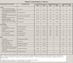 Rigorous Parrot Comparison Chart Parrot Comparison Chart