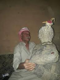 نازح سوري يصطاد انثى طير حر بالقرب من مخيم الرقبان