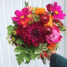 Pin On Fall Flowers