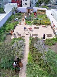 Roof Garden Vegetables Home Roof Ideas Rooftop Garden Roof Garden Design Rooftop Garden Urban