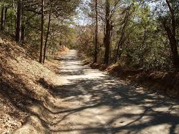 Pin By Town Of Nags Head On Nags Head Woods Nags Head How To Raise Money Road