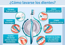 6 Pasos Para Lavarse Los Dientes Correctamente