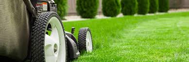 In addition to weekly mowing services, we offer lawn aeration, sprinkler blowouts and repairs, yard cleanups, gutter cleaning, branch removal, tree and bush. Fort Collins Sprinkler Services Fort Collins Lawn Service