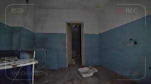 Никаких мутантов в чернобыле нет, ведь животные со временем начали приспосабливаться к новым условиям жизни. Ostavil Kamery V Pripyati Na Noch Neuzheli Ya Snyal Mutanta Youtube