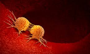 Cancer is a generic term for a large group of diseases that can affect any part of the body. Researchers Use Viruses As Vectors To Deliver Cancer Vaccines