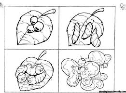Pin On Animales