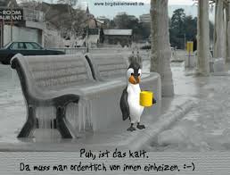 Besten bilder, videos und sprüche und es kommen täglich neue lustige facebook bilder auf debeste.de. Bilderlustigman Eisig Kalt Gif Lustig