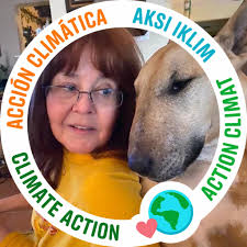 What to make with shredded cabbage?