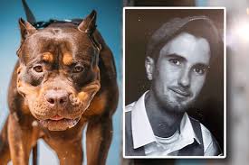 Šetač pasa rastrgnut na smrt: Stručnjaci upozoravaju na novu opasnu  "super-rasu"