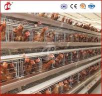 Mejor jaula para gallinas China Proveedor de jaulas para gallinas ponedoras  Jaula para pavos Personalización OEM Casa para gallinas ponedoras  Configuración de gallinero Cercas para exhibición de aves ...