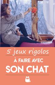 Comment Jouer Avec Son Chat Conseils Et Plus De 5 Jeux Jeux Pour Chat Chat Son Chat