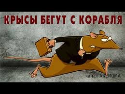 Информацию о заявлении об отставке подтверждаю, - Данилюк - Цензор.НЕТ 2765