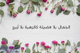 صور عن الفضيلة عبارات عن الفضيلة والفضائل مكتوبة علي صور wreaths decor hoop wreath
