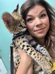 Dental cleanings for dogs and cats available