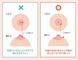 陥没乳頭(陥没乳首)でもスムーズに授乳する5つのポイント！母乳育児を目指すママ必見！｜陥没乳頭（陥没乳首）対策改善サイト