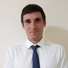 Why are Rome's dolphins fighting each other? A scientific study's  surprising discovery