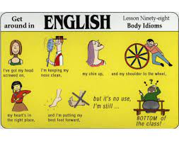 Body parts pictures for classroom and therapy. Idioms Using Parts Of The Body Quiz