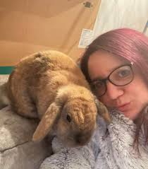 Bamfords Mill Pet Shop added a...