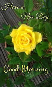 Maybe you would like to learn more about one of these? 320 Ide æ—©å®‰ Zao An Di 2021 Selamat Pagi Selamat Pagi Cintaku Selamat Pagi Kopi