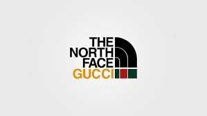 Michele uses greens and blues that would never occur in nature and plasters the gucci logo all over. Gucci X The North Face To Drop A Capsule Collection Klekt Blog