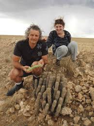 Image result for Cucumis kalahariensis