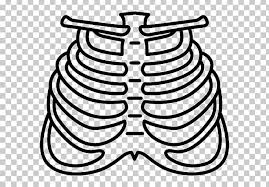 The costotransverse ligaments in human: Rib Human Body Homo Sapiens Bone Png Clipart Anatomy Black And White Bone Computer Icons Encapsulated