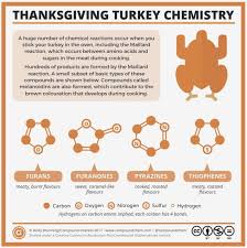 Turkey Chemistry Pdf Chemistry Chemistry Lesson Plans Chemistry Lessons
