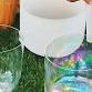 Reiki Circle + Sound Bowl Healing in Valley Forge Park