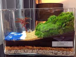 Terrariums Mini Plant Terrarium Garden Terrarium Terrarium Scene