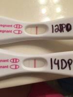 How Was Your Wondfo Progression Babyandbump