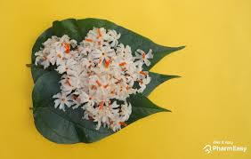 Gardening tips | flower wiki. Health Benefits Of Parijat Leaves And Flowers Pharmeasy Blog