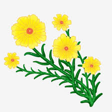 Kumpulan gambar tentang gambar bunga kartun png, klik untuk melihat koleksi gambar lain di kibrispdr.org. Yellow Yellow Flowers Illustration Cartoon Flowers Illustration Cartoon Flowers Illustration Cartoon Flowers Png Transparent Clipart Image And Psd File For Free Download