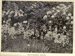 Cheryl mckeiver will lead the center into our next 50 years as we provide a place for people to celebrate their artistic gifts and reinvent themselves through the visual arts. Social Undertones In William Robinson S Crusade Against Architects Gardens A Costly Ugliness To Our Beautiful Home Landscapes Robinson 1892 Xiii