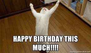 Cat Birthday Meme Google Search Funny Happy Birthday Meme Funny Birthday Meme Happy Birthday Cat