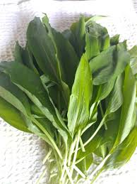We did not find results for: Pesto All Aglio Orsino Viaggiare Come Mangiare