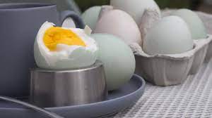 Maybe you would like to learn more about one of these? 6 Kelebihan Telur Bebek Dibandingkan Telur Ayam Yang Jarang Diketahui Hot Liputan6 Com