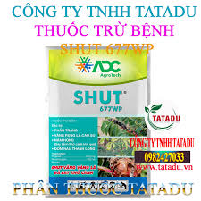 Shut 677WP