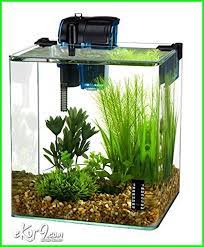 10 Gambar Aquarium Ikan Cupang Unik Minimalis Baik Untuk Hias Dan Petarung Ekor9 Com Desktop Aquarium Aquarium Kit Betta Fish Tank