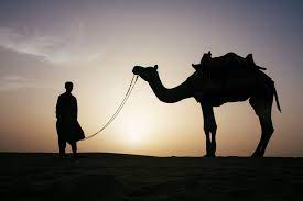 Tawakkul means to put in one's best efforts to do what allah subhana wa ta'ala expects one to do and then leave the results to allah's will. Trust In God But Tie Your Camel Annie Wright Lmft