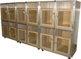 Learn How To Start Your Own Dog Daycare Or Boarding Company Gator Kennels Cheap Dog Kennels Dog Kennel Dog Daycare