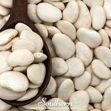 Image result for Phaseolus lunatus