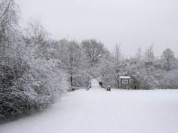 Unduh pemandangan salju musim dingin latar belakang atau foto ini dan anda dapat menggunakannya untuk berbagai keperluan, seperti spanduk, wallpaper, latar belakang poster, serta. Free Image On Pixabay Winter Snow Wintry Cold Free Pictures Snow Winter