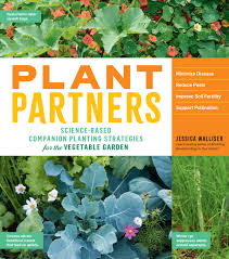 New evidence reveals which vegetables are good to plant together to thrive. Plant Partners Storey Publishing