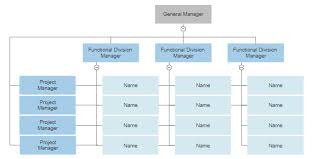 four types of organizational charts functional top down