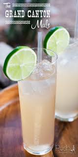 The Grand Canyon Mule Recipe Cocktails Cocktail Recipes Perfect Cocktails