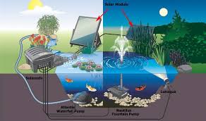 The Comprehensive Guide To Selecting The Right Solar Pond Pump Solar Pond Pond Pumps Pond