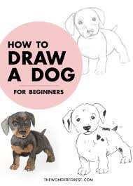 Start with 6 small circles drawn together. How To Draw A Dog Or Any Animal Wonder Forest