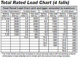 daximac solutions pvt ltd safe load indicator for cranes