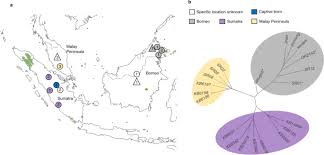 To change the name that displays when you send email, update the your name field. Genomic Insights Into The Conservation Status Of The World S Last Remaining Sumatran Rhinoceros Populations Nature Communications